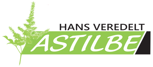 Hans veredelt – Astilbe – Nieuwe Wetering Logo